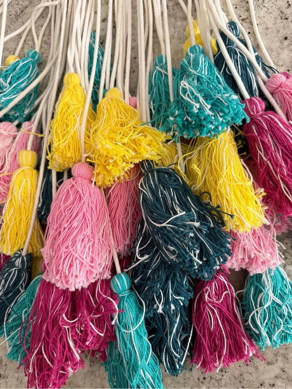 Pottery Barn Teen Multicolor Tassel Fringe Wall Garland